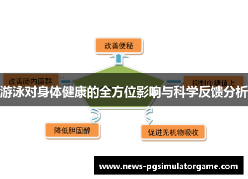 游泳对身体健康的全方位影响与科学反馈分析
