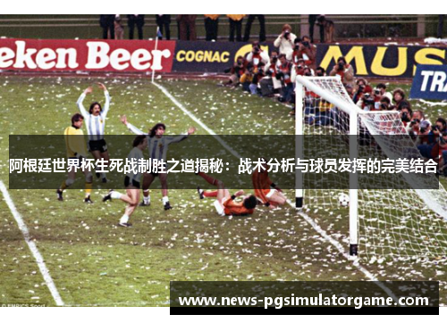 阿根廷世界杯生死战制胜之道揭秘：战术分析与球员发挥的完美结合