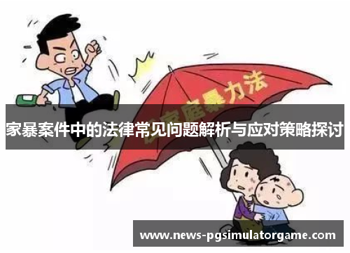 家暴案件中的法律常见问题解析与应对策略探讨