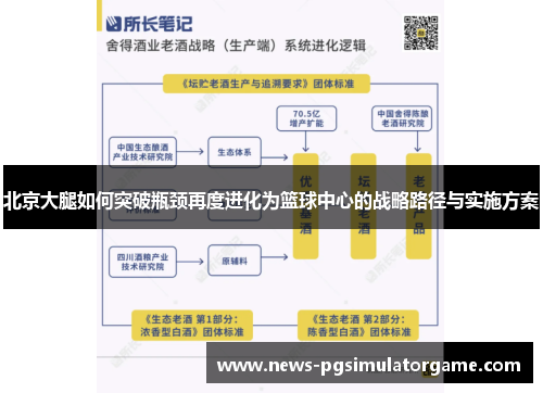 北京大腿如何突破瓶颈再度进化为篮球中心的战略路径与实施方案