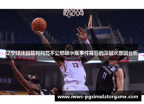 辽宁球迷因裁判判罚不公怒砸水瓶事件背后的深层次原因分析