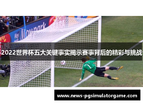 2022世界杯五大关键事实揭示赛事背后的精彩与挑战