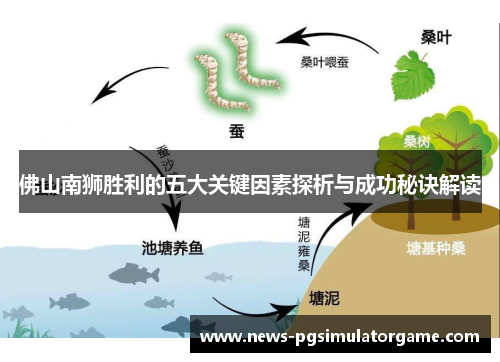 佛山南狮胜利的五大关键因素探析与成功秘诀解读