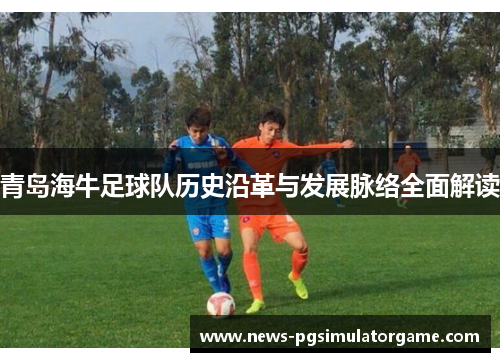 青岛海牛足球队历史沿革与发展脉络全面解读